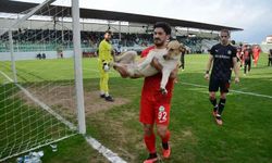 Diyarbekirspor maçında köpek sahaya girdi