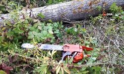 Bitlis'te feci olay! Üzerine ağaç düştü, hayatını kaybetti
