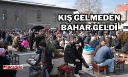 Diyarbakır’a kış gelmeden bahar geldi! Kar yağacak mı?