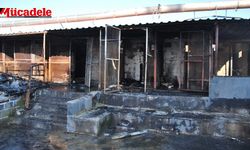 Diyarbakır’da Güvercin Oteli’nde yangın! Yüzlerce güvercin öldü