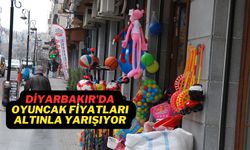 Diyarbakır’da oyuncak fiyatları altınla yarışıyor