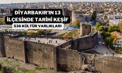 Diyarbakır’da tarihi keşif! 13 ilçede tespit edildi