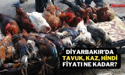 Diyarbakır’da tavuk, kaz, hindi fiyatı ne kadar?