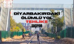 Diyarbakır’daki ölümlü yol tehlike saçıyor!
