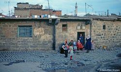 Diyarbakır’da bir hırsız samanlıkta uyurken yakalanmış