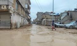 Görüntüler Urfa’dan! Belediyeye çağrıda bulundular