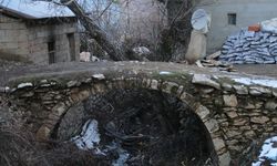 Hakkari'deki tarihi Şapatan Köprüsü bakımsızlıktan yıkılıyor