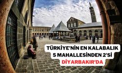 Türkiye’nin en kalabalık beş mahallesinden ikisi Diyarbakır'da