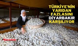 Türkiye’nin yarıdan fazlasını Diyarbakır karşılıyor!
