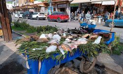 Diyarbakır Ramazan ayında balığa yöneldi: Fiyatları belli oldu