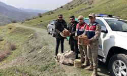 Bitlis’te keklik avlayanlara yüzbinlerce lira ceza