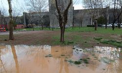 Diyarbakır bu duruma alıştı, her yer çamurlu göl oldu