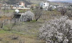 Diyarbakır’a bahar geldi