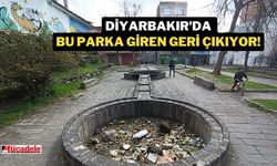 Diyarbakır'da bu parka giren geri çıkıyor!
