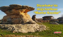 Diyarbakır’da doğa harikası mantar kayalar!