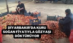 Diyarbakır’da kuru soğan fiyatıyla gözyaşı döktürüyor