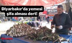 Diyarbakır’da yemesi şifa, alması dert!