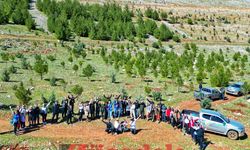 Diyarbakır'da yüzlerce fidan toprakla buluştu
