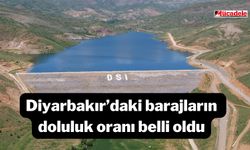 Diyarbakır’daki barajların doluluk oranı belli oldu