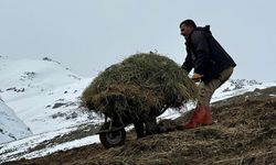 Hakkari’de çiftçilerin zorlu kış mesaisi