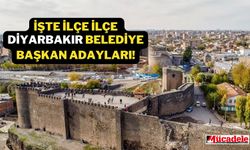 İşte ilçe ilçe Diyarbakır belediye başkan adayları