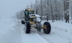 Kar, Tunceli’yi bırakmıyor! Birçok köy yolu kapandı