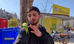 Görüntüler Bursa'dan! Bakın kuşuyla birlikte ne yapıyor