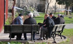Türkiye'de çalışan yaşlı sayısı arttı
