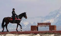 Van emniyetinin tek kadın süvarisi