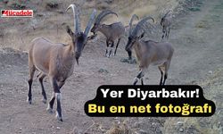 Yer Diyarbakır! Bu en net fotoğrafı
