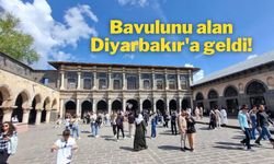 Bavulunu alan Diyarbakır'a geldi! Turist sayısı açıklandı