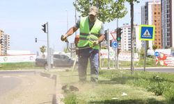 Diyarbakır’da belediyeden yeşillendirme çalışması