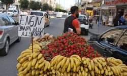 Diyarbakır'da kiloyla değil tadımlık satılıyor! İşte fiyatı
