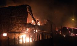 Köyde yangın: Bir ev yandı, 55 koyun öldü