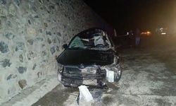 Bingöl'de otomobil ata çarptı! 1 kişi hayatını kaybetti