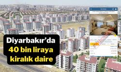 Diyarbakır’da 40 bin liraya kiralık daire! Pes dedirtti