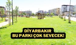 Diyarbakır bu parkı çok sevecek! Hizmete açıldı