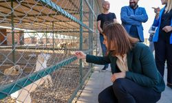 Diyarbakır Büyükşehir’den hayvan hakları ve ilaçlama incelemesi