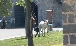 Diyarbakır’da at öğrencinin üzerinden geçti