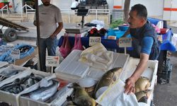 Diyarbakır’da av yasağı başladı! Balık fiyatları uçtu