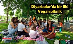 Diyarbakır’da bir ilk! Vegan Piknik