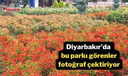 Diyarbakır’da bu parkı görenler fotoğraf çektiriyor