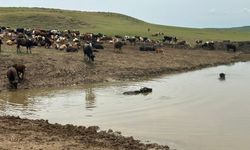 Diyarbakır’da çiftçileri sevindiren çalışma! Göletler onarılıyor