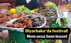 Diyarbakır’da festival! Hem ucuz hem lezzet