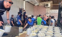 Diyarbakır’da kovalarca kaçak yoğurt imha edildi