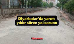 Diyarbakır'da yarım yıldır süren yol sorunu!