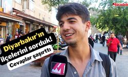 Diyarbakır'ın ilçelerini sorduk! Cevaplar şaşırttı