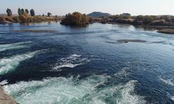 Fırat Nehri üzerinde bir ceset bulundu!