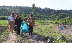 Dicle Vadisi ve Hevsel Bahçelerinde temizlik