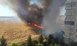 Mardin'de mayınlı bölgede korkutan yangın! Ekili arazi yandı